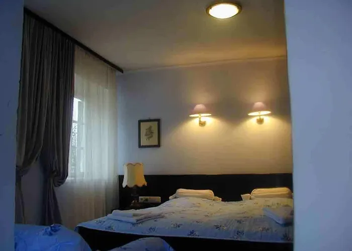Πανσιόν Waldhotel Ziegelstadel 2*